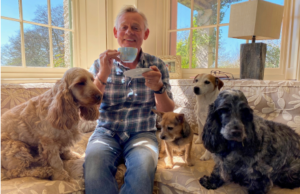 A photo of Martin Clunes smiling and drinking a cup of tea, surrounded by four dogs 