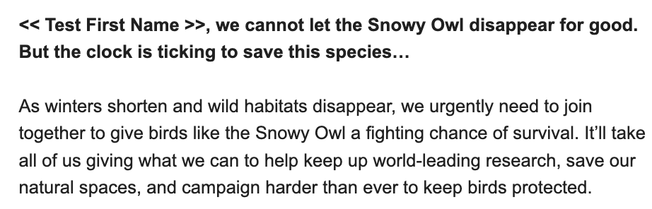Screenshot of part of an email saying: 

<< Test First Name >>, we cannot let the Snowy Owl disappear for good. But the clock is ticking to save this species…

As winters shorten and wild habitats disappear, we urgently need to join together to give birds like the Snowy Owl a fighting chance of survival. It’ll take all of us giving what we can to help keep up world-leading research, save our natural spaces, and campaign harder than ever to keep birds protected.